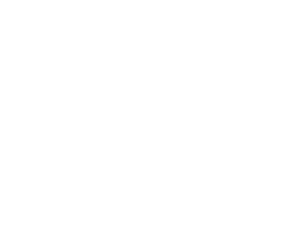 BidWritePro